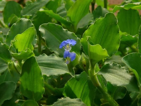 41210027_681987495511969_4465526