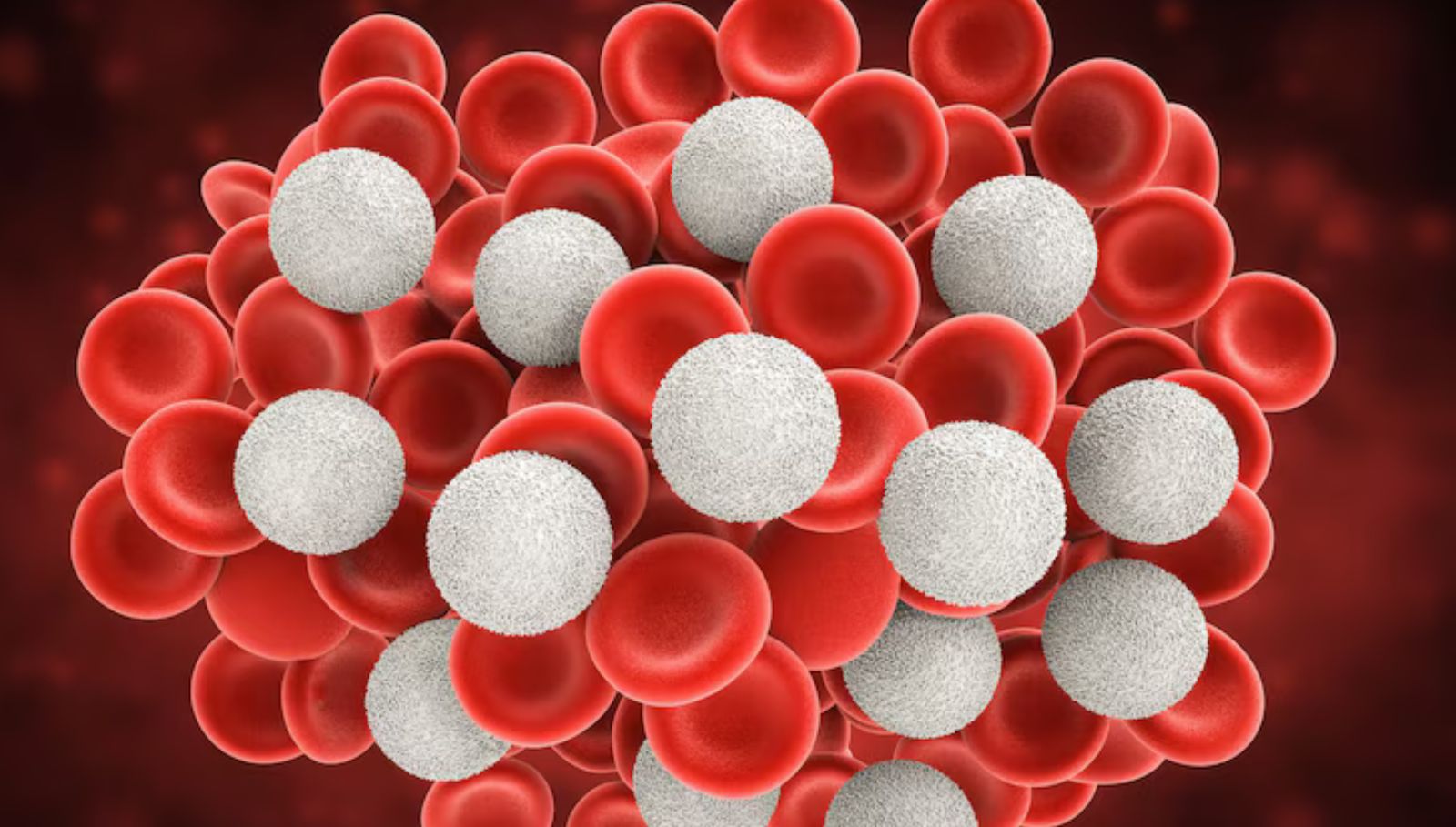 white-blood-cells-causes