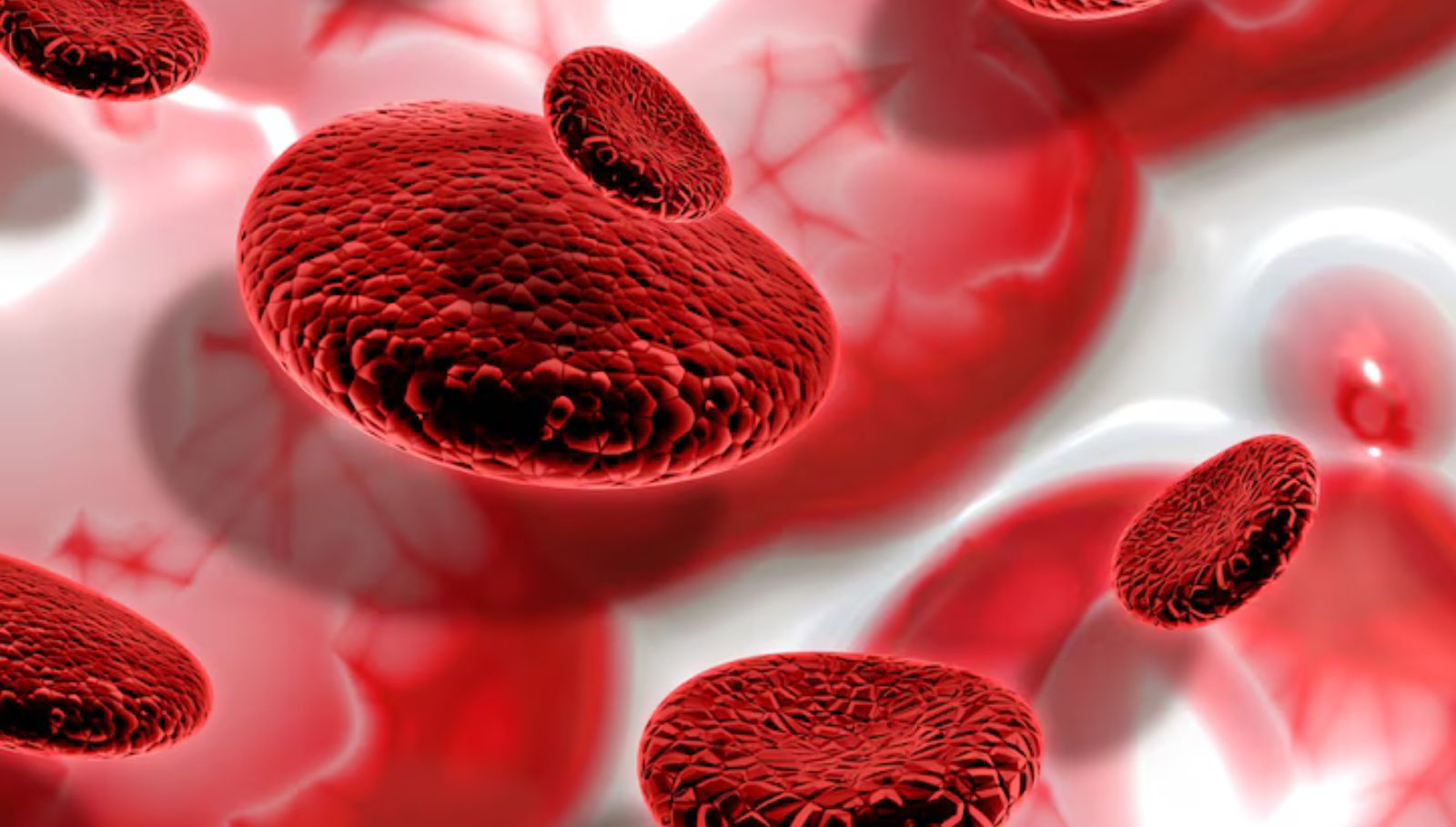 white-blood-cells-wbc-increase-tips