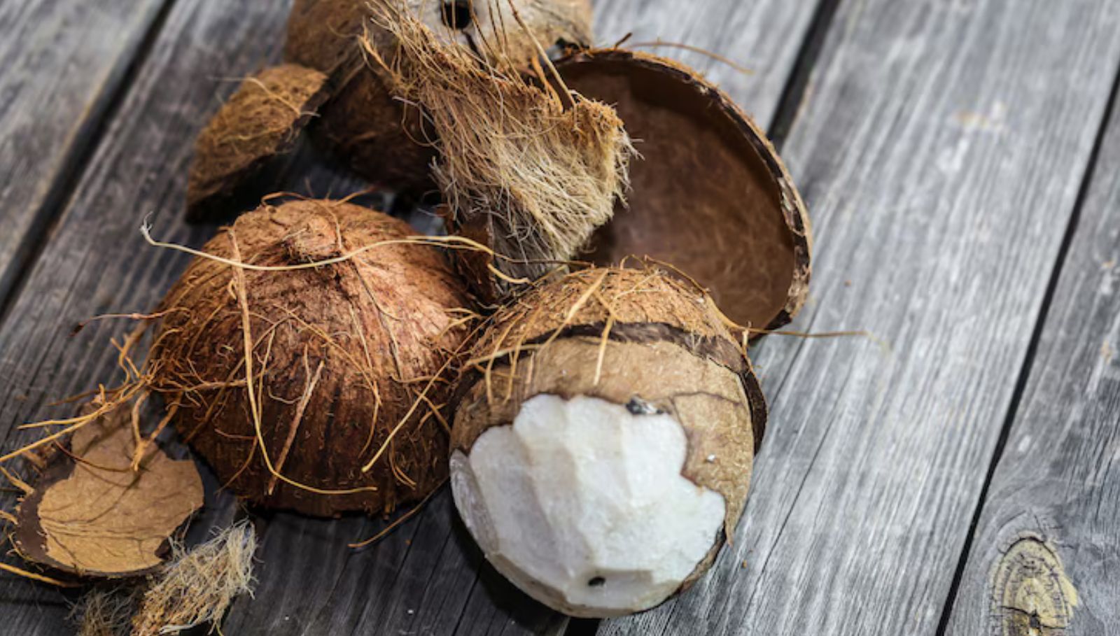 thengai-poo-nanmaigal