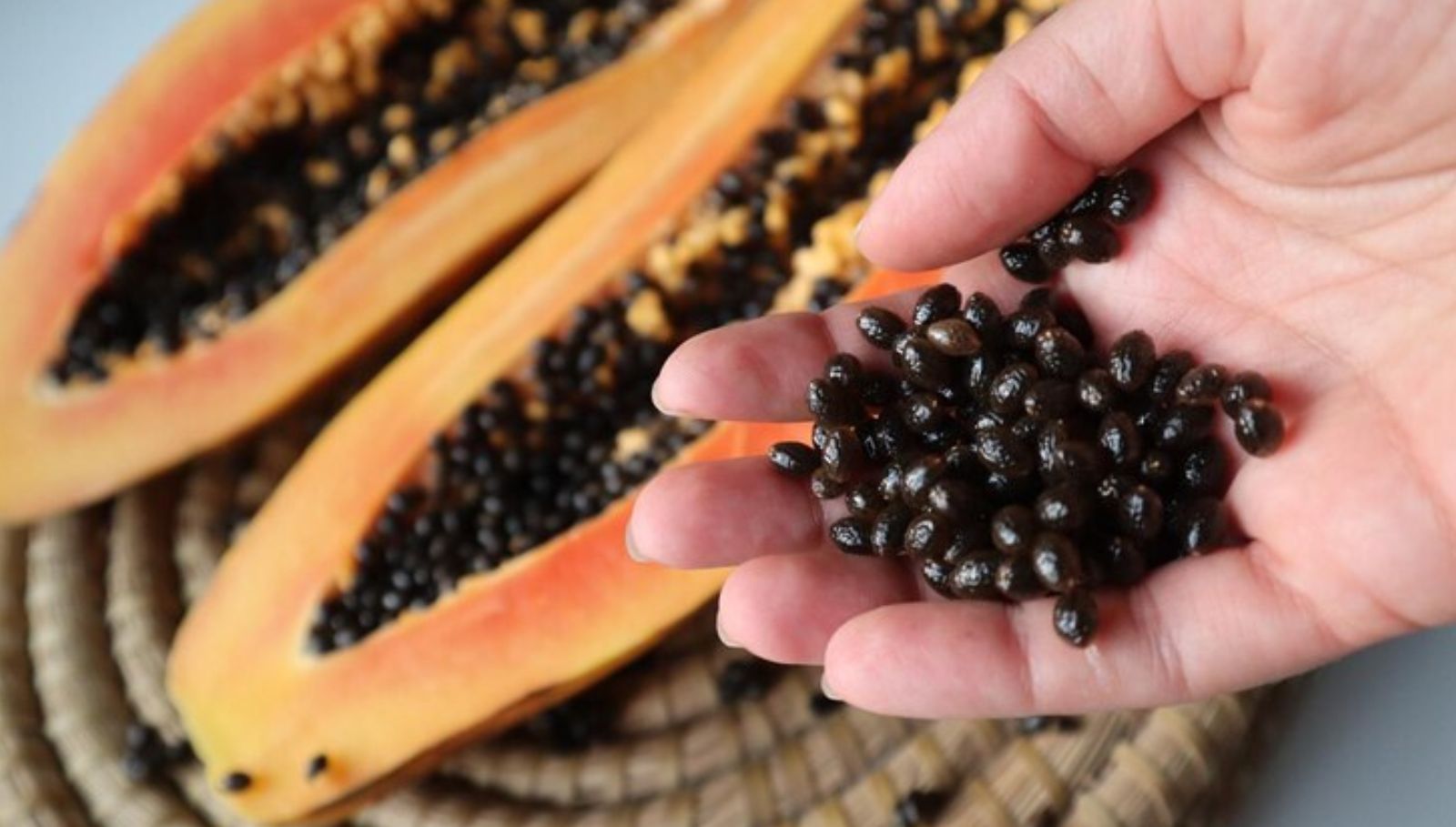 papaya-seed-nanmaigal