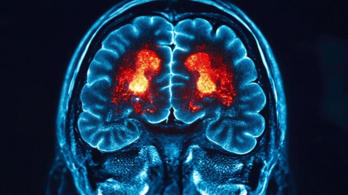 artical - 2025-06-10T170537.057