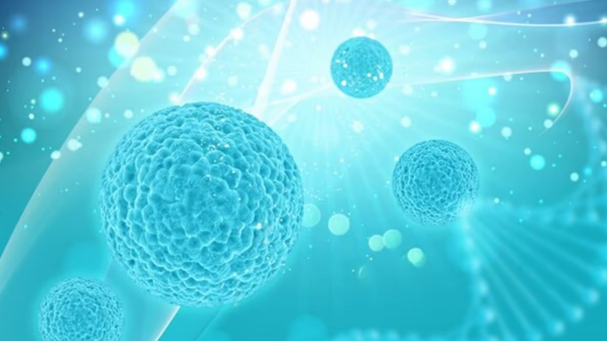 can-hiv-be-cured-with-stem-cell-transplant-02