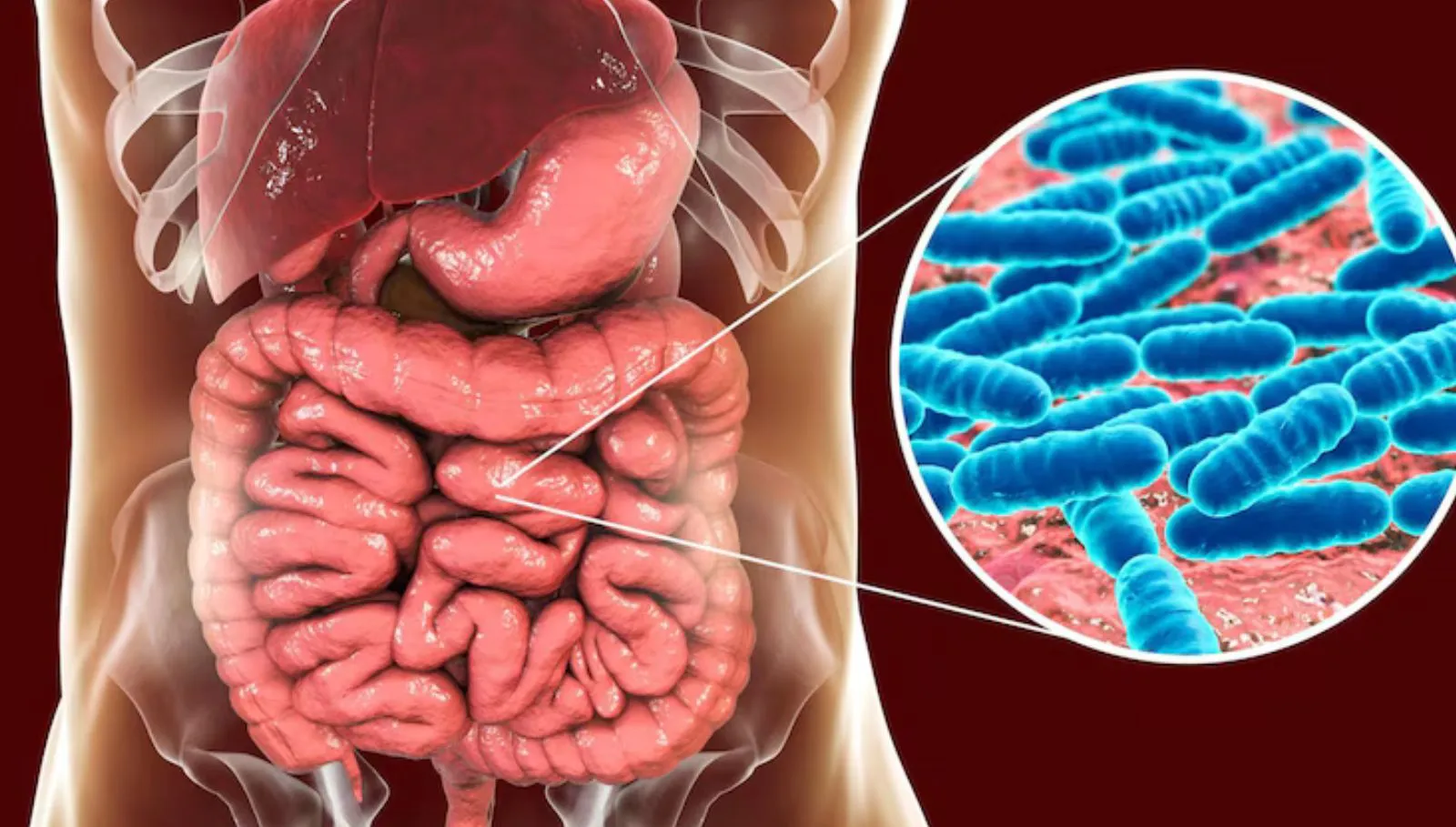 Stomach Cleaning Tips: இரவில் இந்த உணவு சாப்பிட்டால் அடுத்தநாள் காலை வயிறு அப்படியே சுத்தமாகும்!