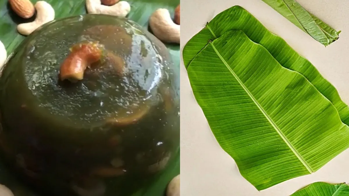 ஒரு வாழை இலை போதும்! அருமையான சுவையில் வாழை இலை அல்வா ரெடி.. இப்படி செஞ்சி பாருங்க