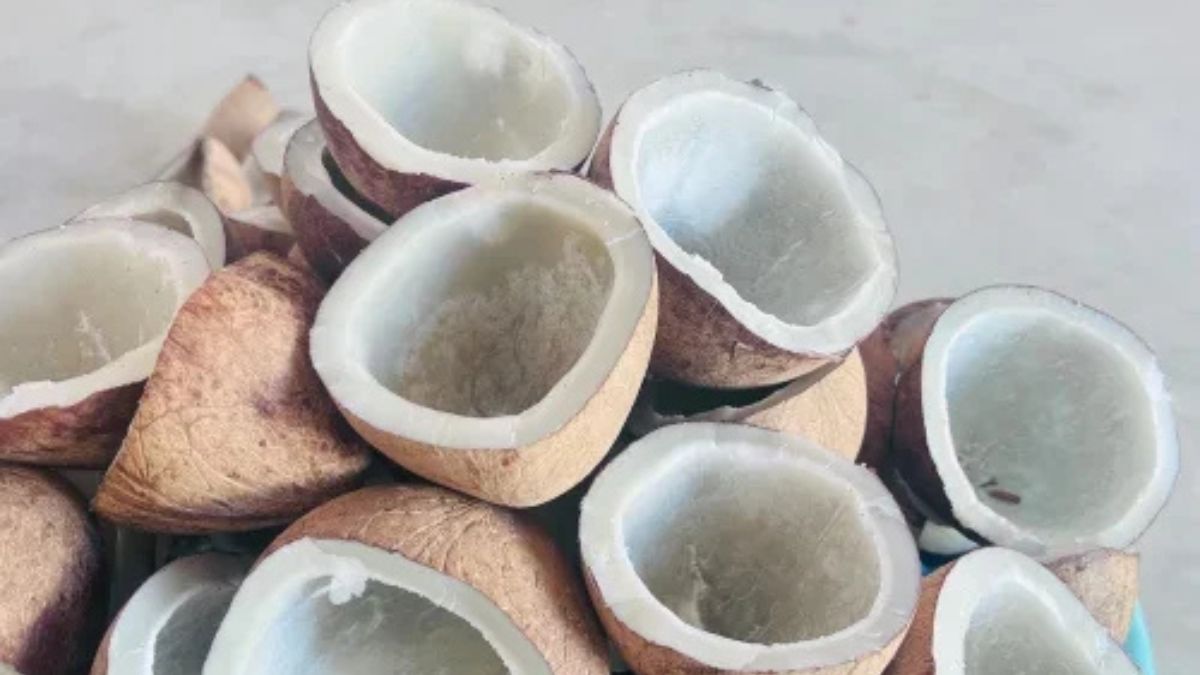 கர்ப்ப காலத்தில் உலர்ந்த தேங்காய் சாப்பிடுவது நல்லதா? அப்படினா எப்போ சாப்பிடலாம்