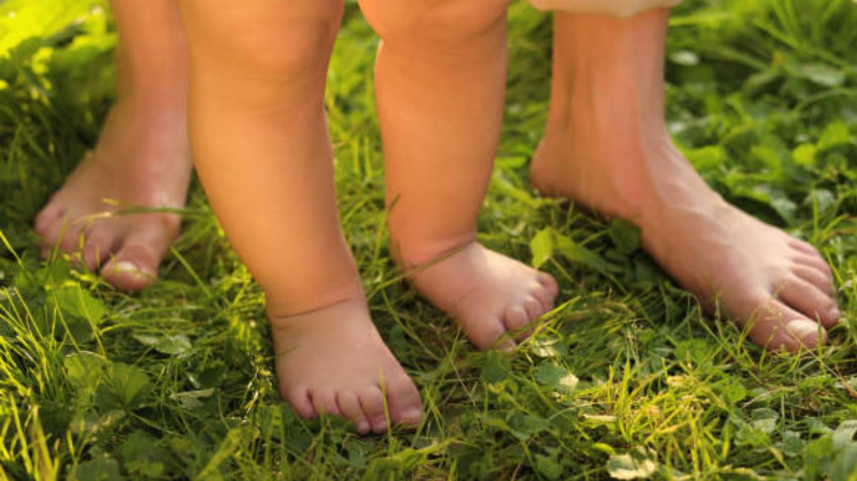 artical  - 2025-06-19T160831.439