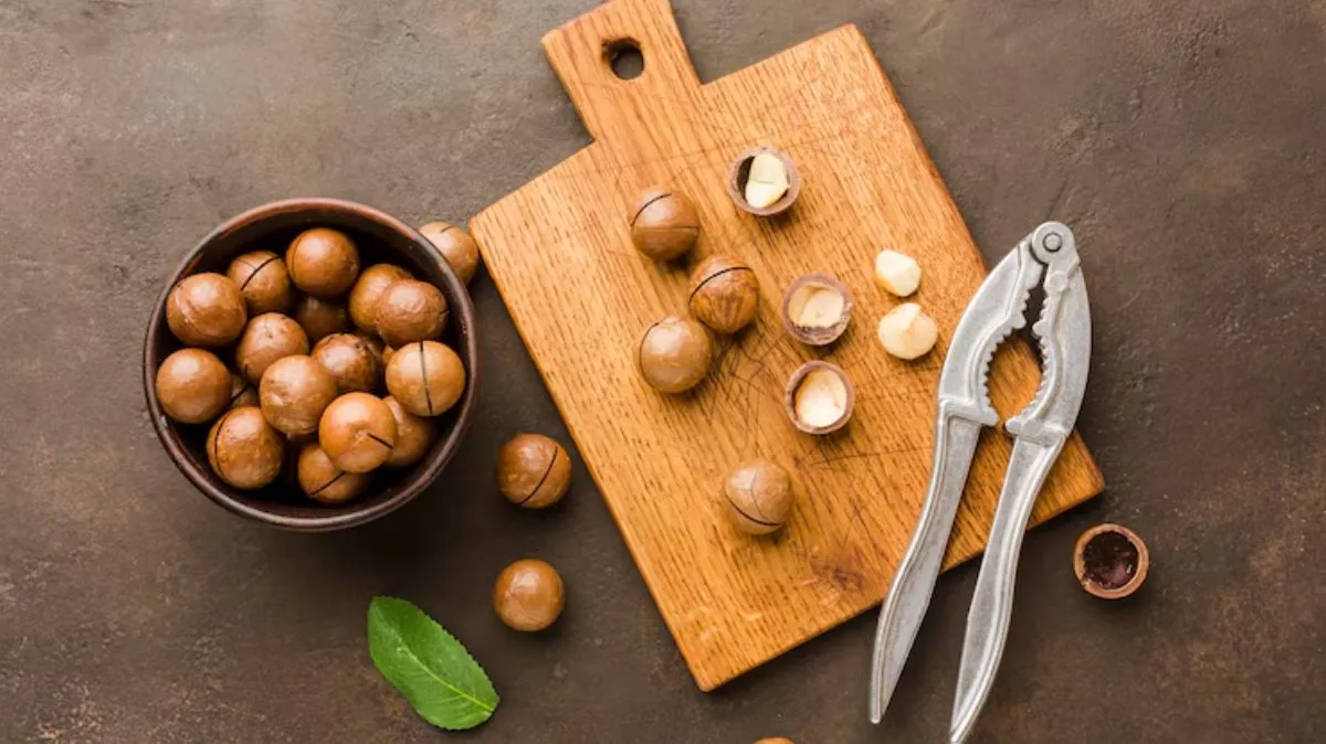 Hazelnuts Benefits: மழைக்காலம் வந்துட்டே இருக்கு.. ஆரோக்கியமாக இருக்க ஹேசல்நட்ஸ் சாப்பிடவும்..