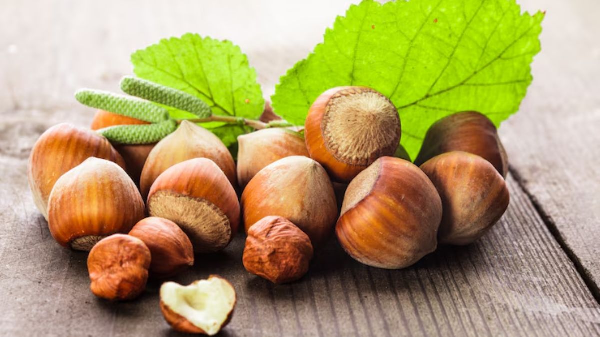 artical  - 2025-06-21T193709.981