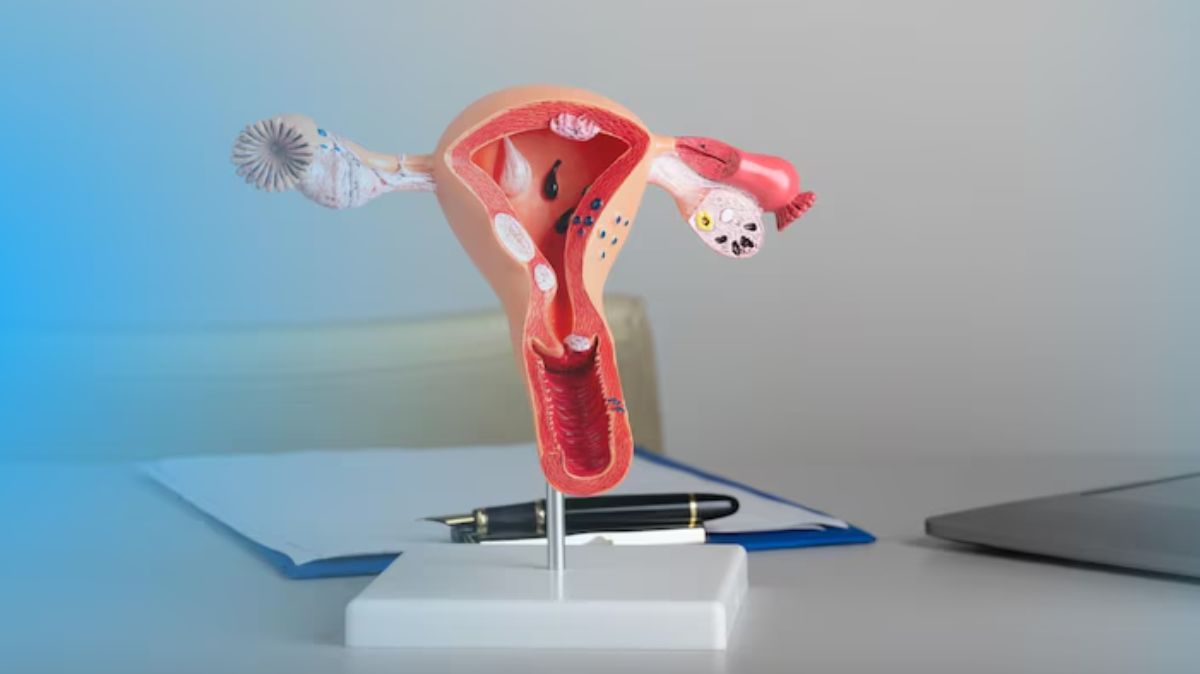 artical  - 2025-06-22T221205.079