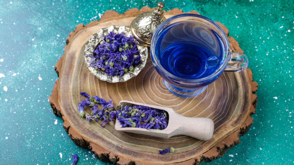 artical  - 2025-06-23T161217.674