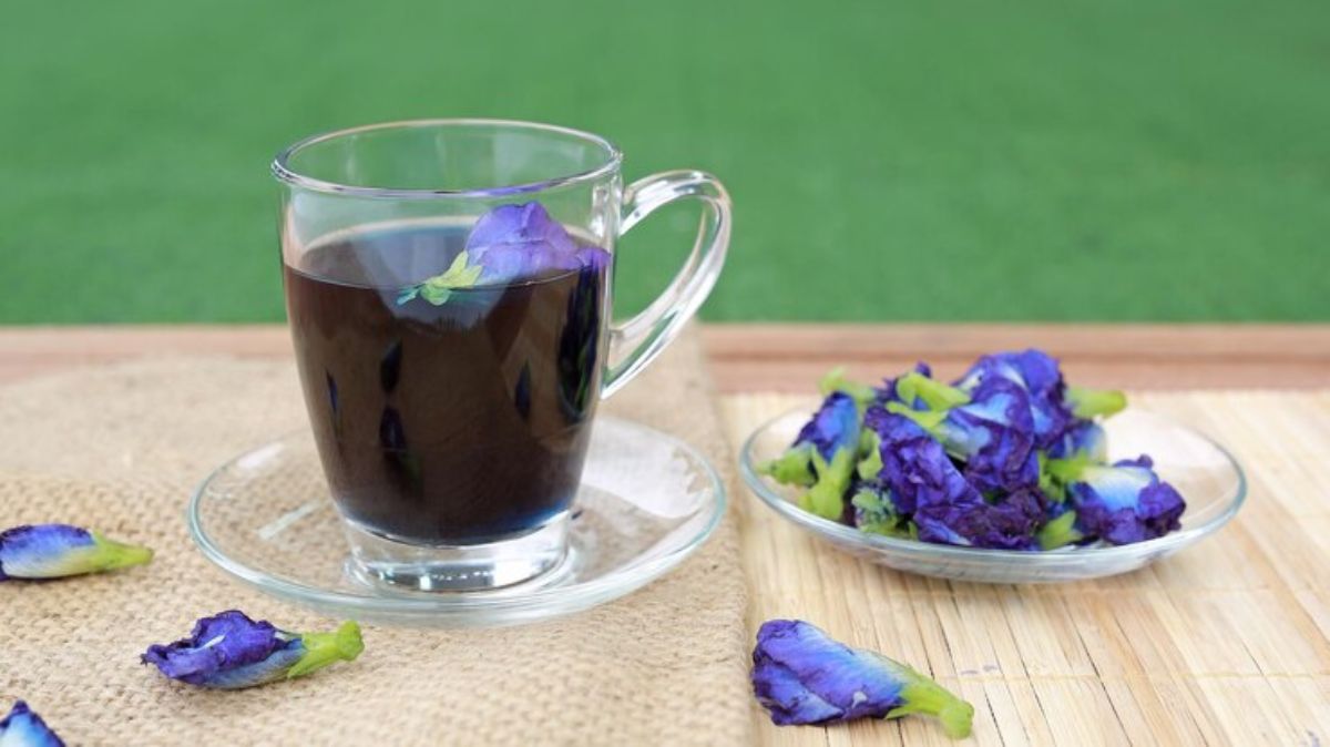 artical  - 2025-06-23T161329.832