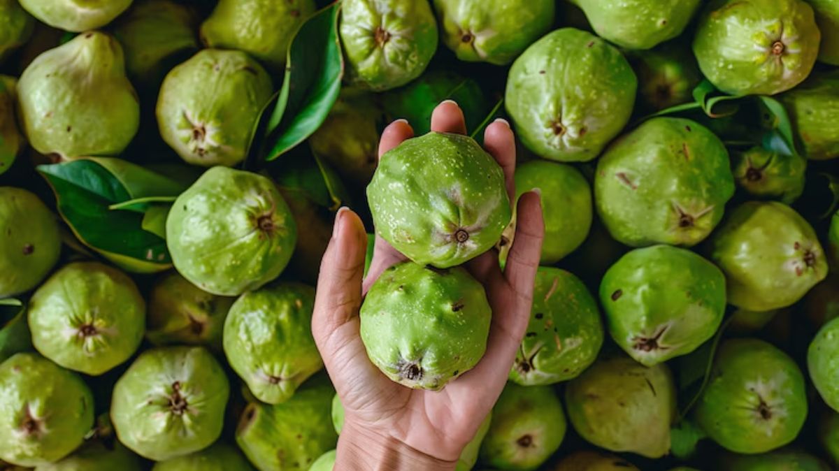 artical  - 2025-06-17T112920.752