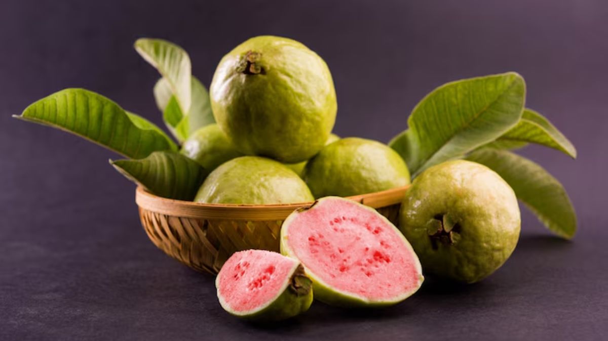 artical  - 2025-06-17T113118.834