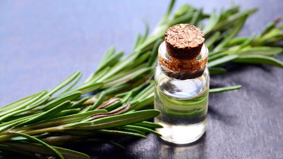 artical  - 2025-06-24T114110.456