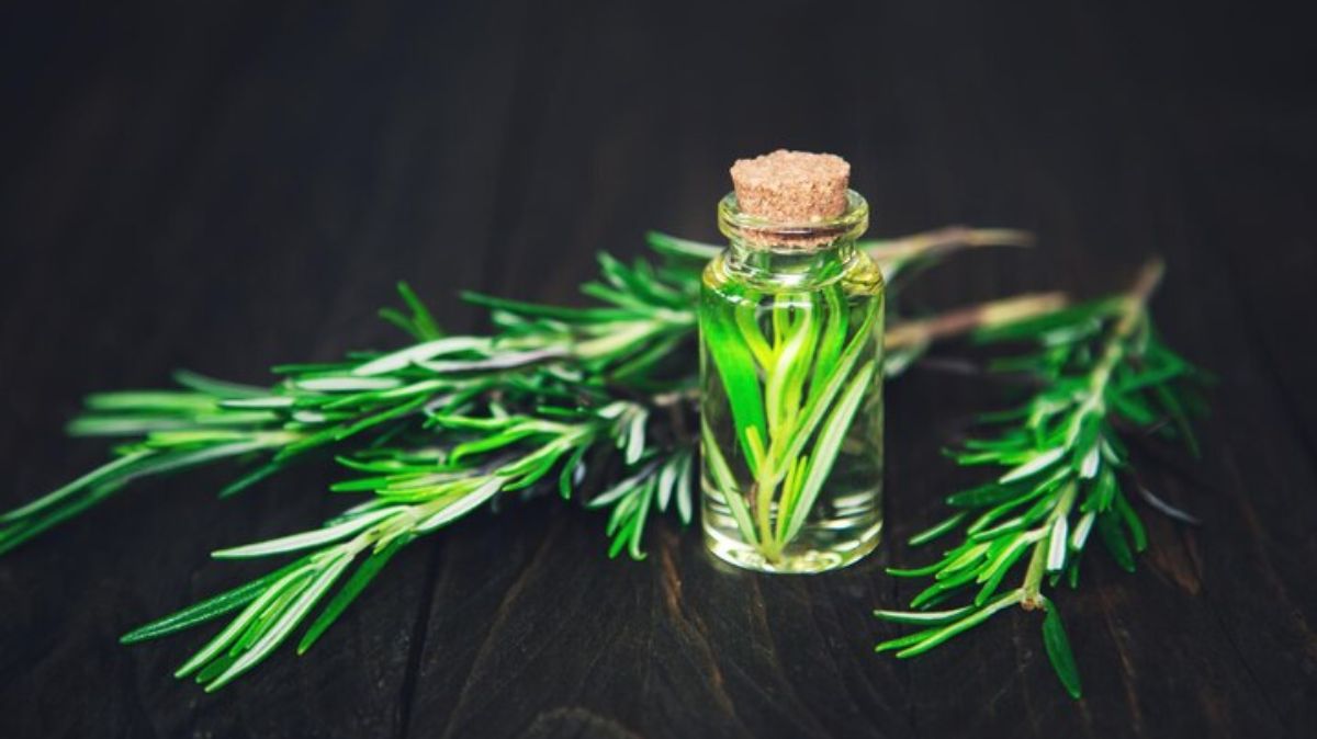 artical  - 2025-06-24T114156.289