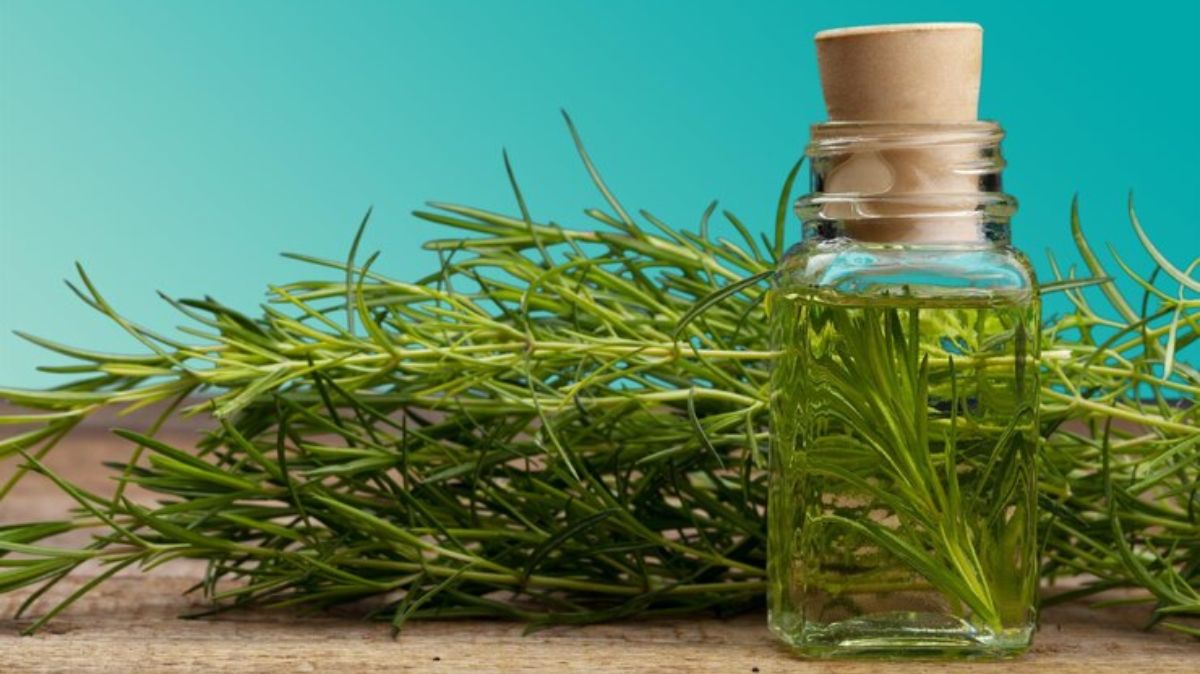 artical  - 2025-06-24T114235.432