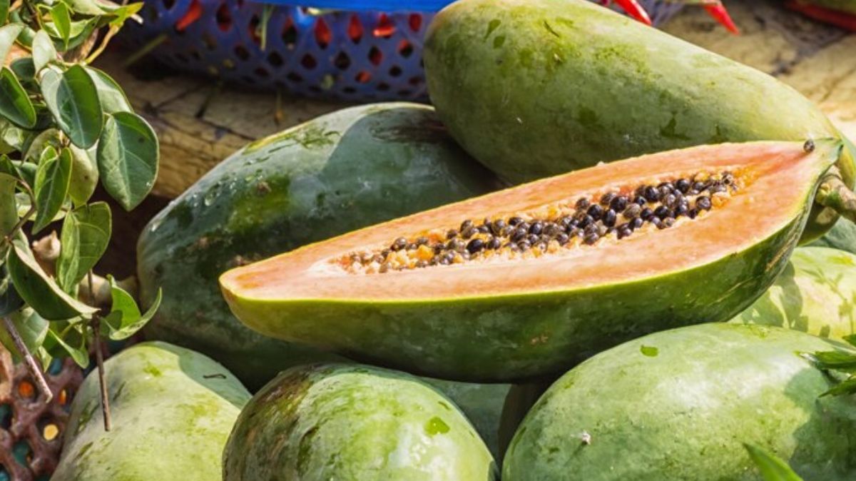 artical  - 2025-06-24T121825.638