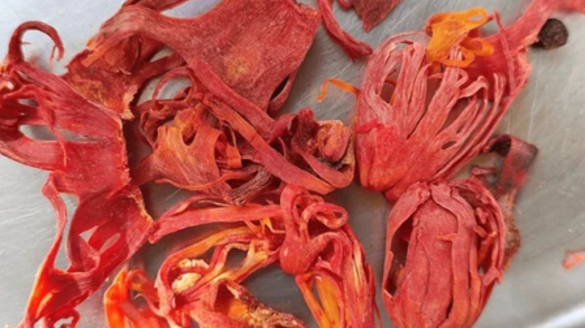 artical  - 2025-06-25T172816.563