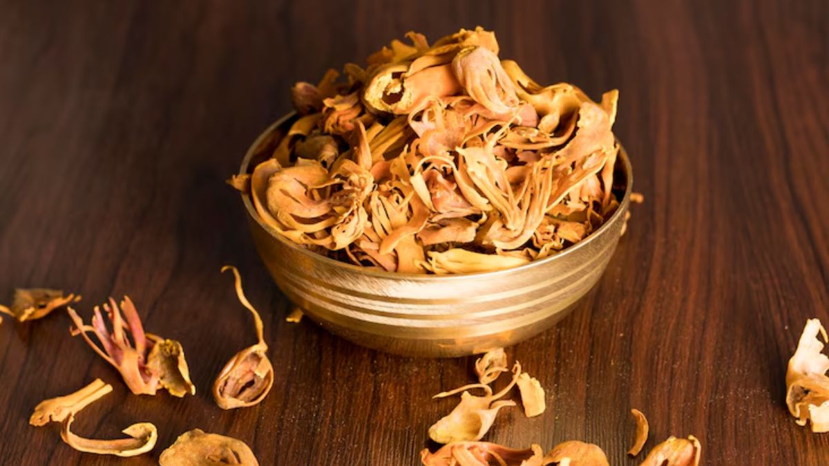 artical  - 2025-06-25T172912.399