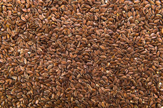 flax seed
