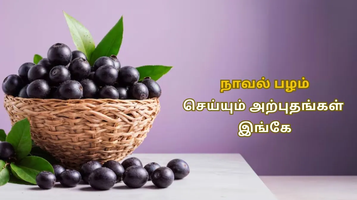 கல்லீரல் முதல் இதயம் வரை.. நாவல் பழம் செய்யும் நன்மைகள் இங்கே..