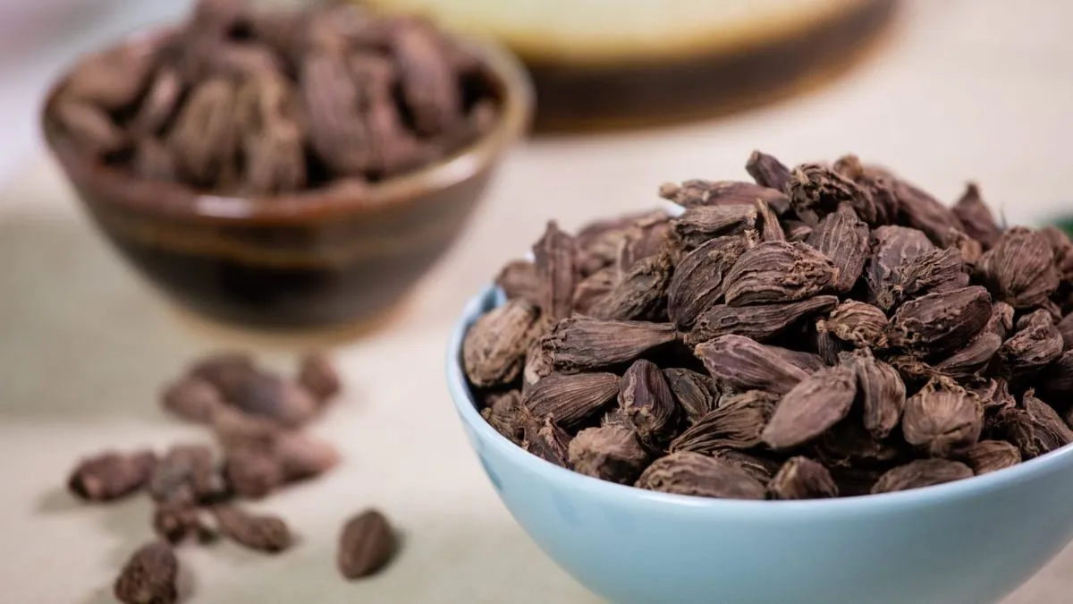 சம்மரில் கருப்பு ஏலக்காய் தரும் நன்மைகள் இதோ! ஆனா இவங்க சாப்பிடக்கூடாது.. மருத்துவர் சொன்னது
