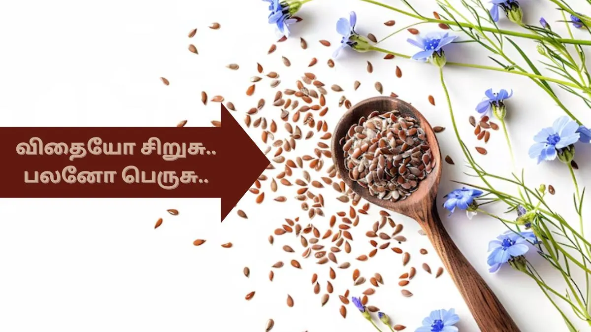 தினமும் ஆளி விதை நீர் குடித்தால்.. இந்த பிரச்சனைகள் தீரும்..