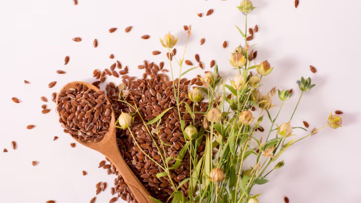 artical  - 2025-07-11T104620.498