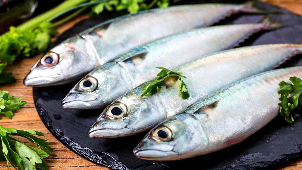 what -fish-to-avoid-while-pregnancy-01