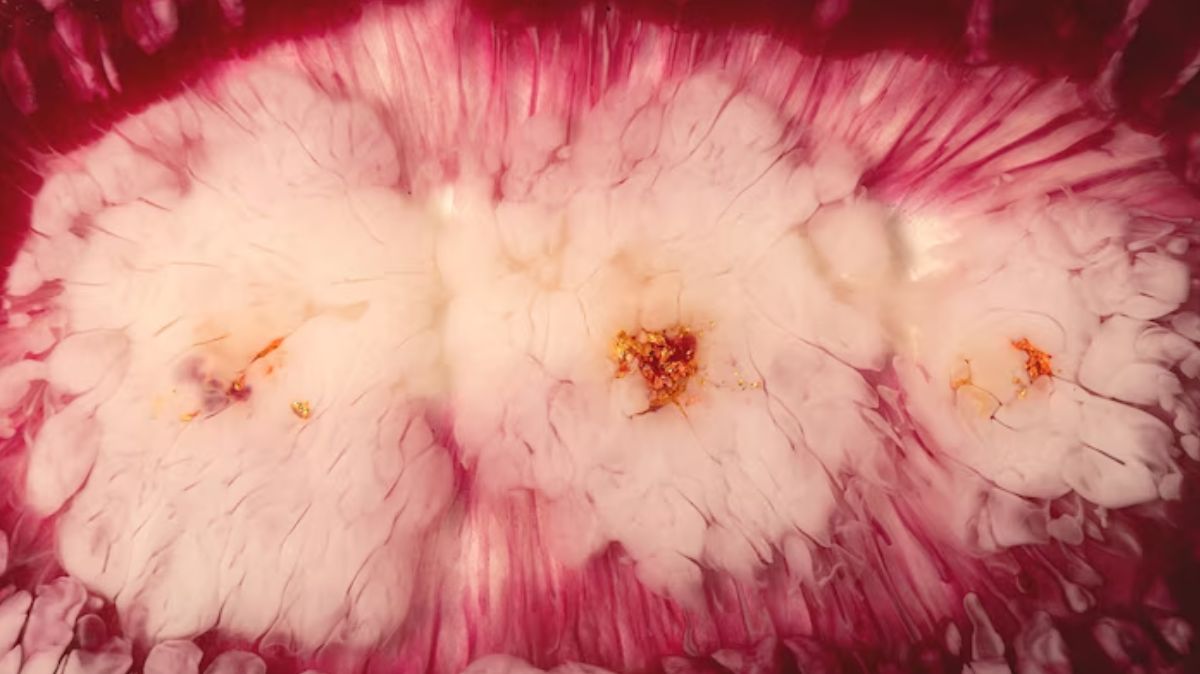 artical  - 2025-07-16T092540.251