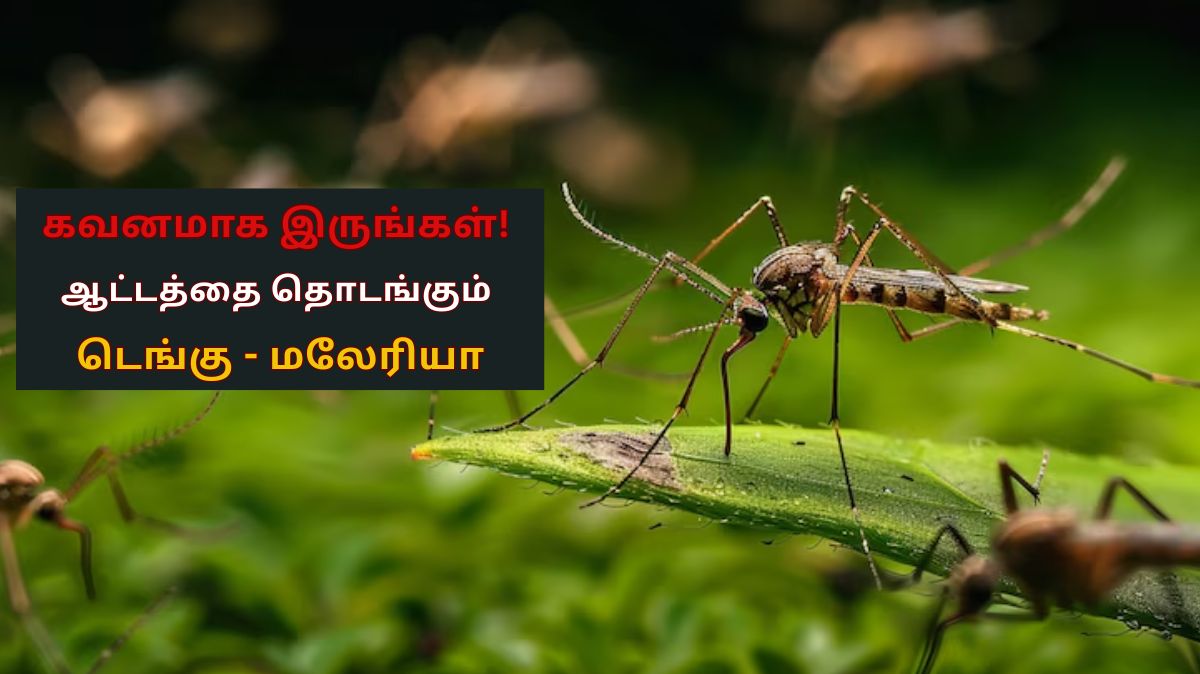 கவனமாக இருங்கள்! ஆட்டத்தை தொடங்கும் டெங்கு - மலேரியா.. இந்த வழியில் உங்களைப் பாதுகாத்துக் கொள்ளுங்கள்..