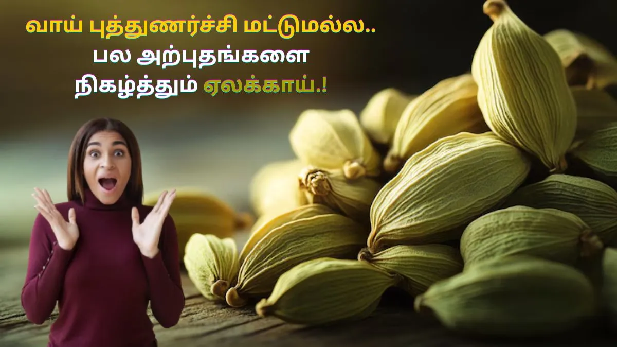 வாய் புத்துணர்ச்சி மட்டுமல்ல.. பல அற்புதங்களை நிகழ்த்தும் ஏலக்காய்.! பலன்கள் இங்கே..