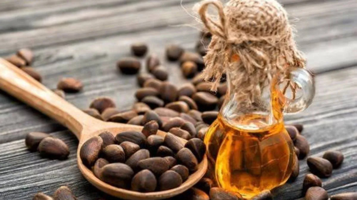முடி வளர்ச்சி முதல் மன அழுத்தத்தைக் குறைப்பது வரை! தேவதாருக்கட்டை எண்ணெய் தரும் நன்மைகள் இதோ