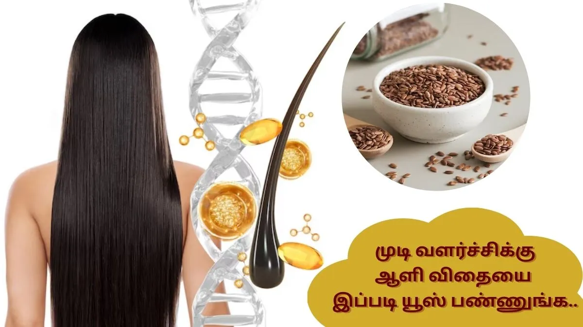 கருகருனு அடர்த்தியா முடி வளரனுமா.? ஆளி விதையை இப்படி யூஸ் பண்ணுங்க..