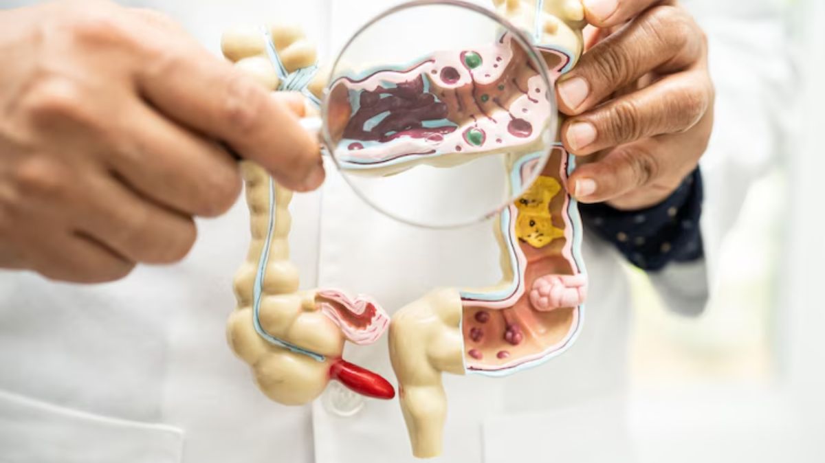 artical - 2025-07-22T083003.956