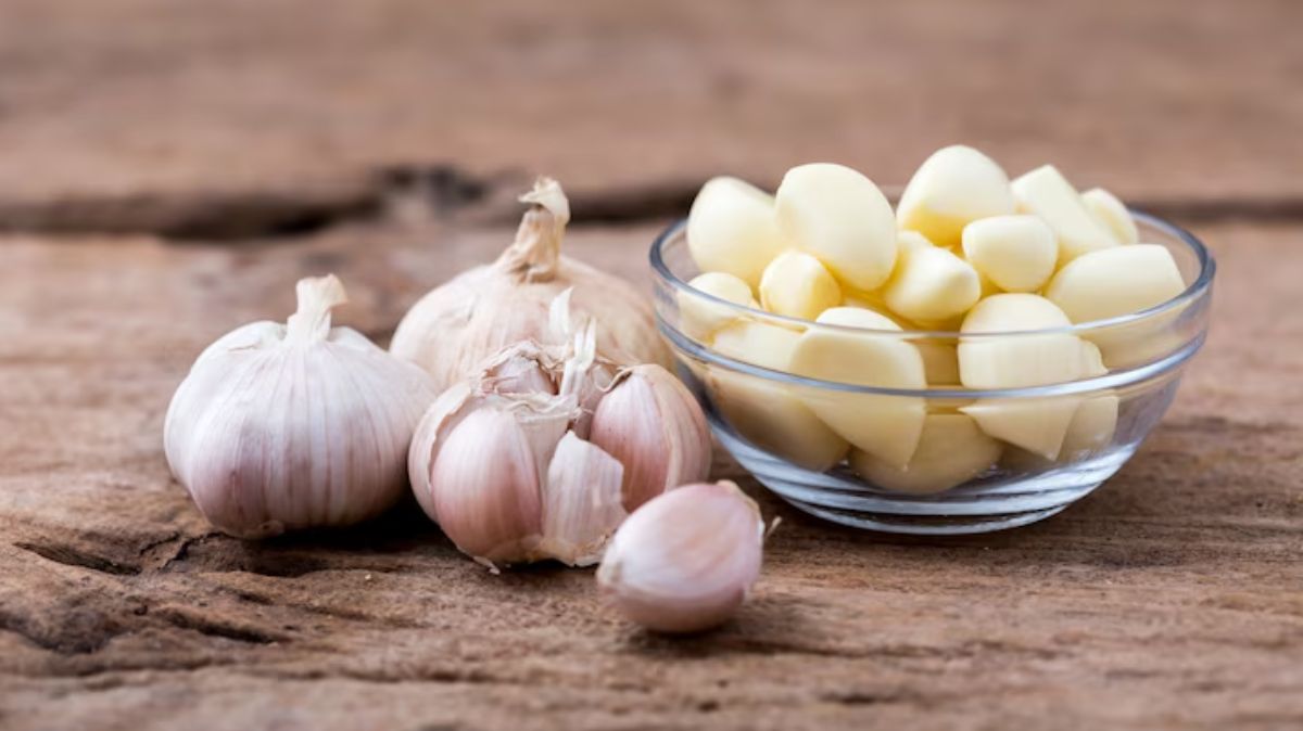 artical - 2025-07-23T132416.593