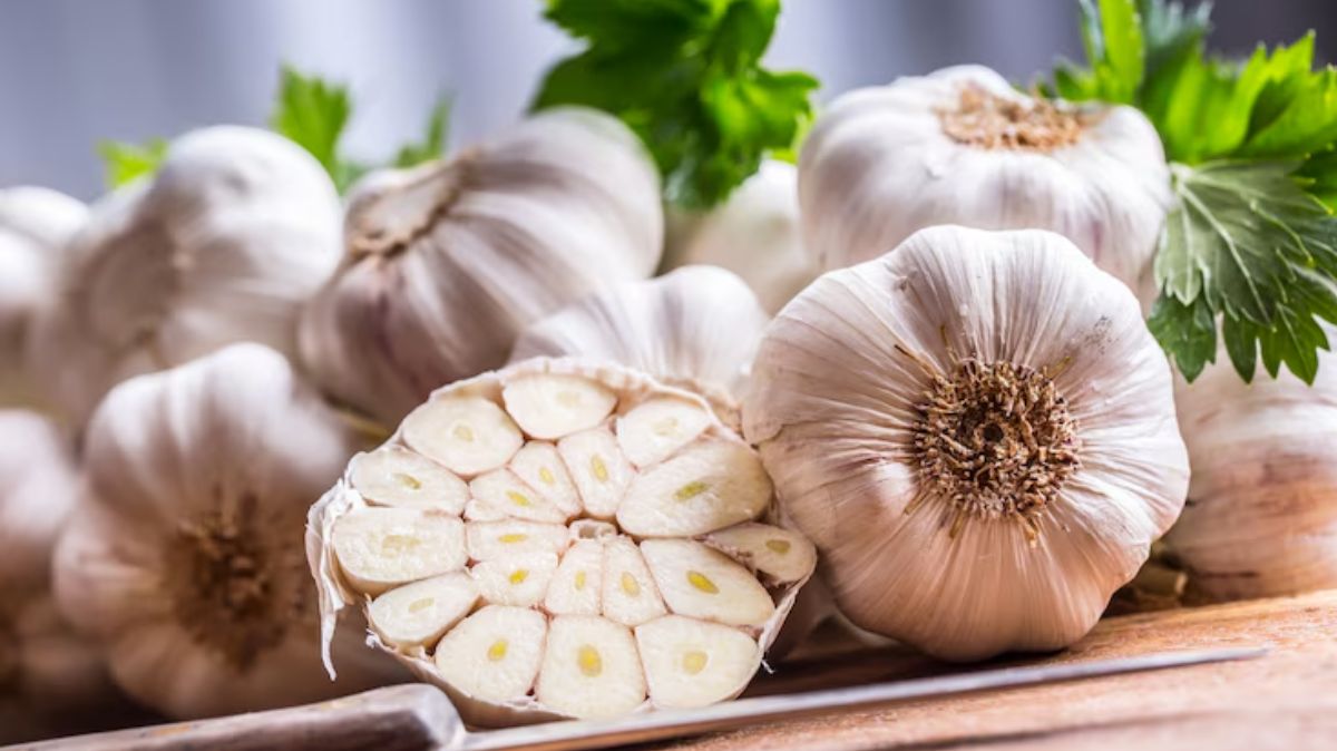 artical - 2025-07-23T132518.587