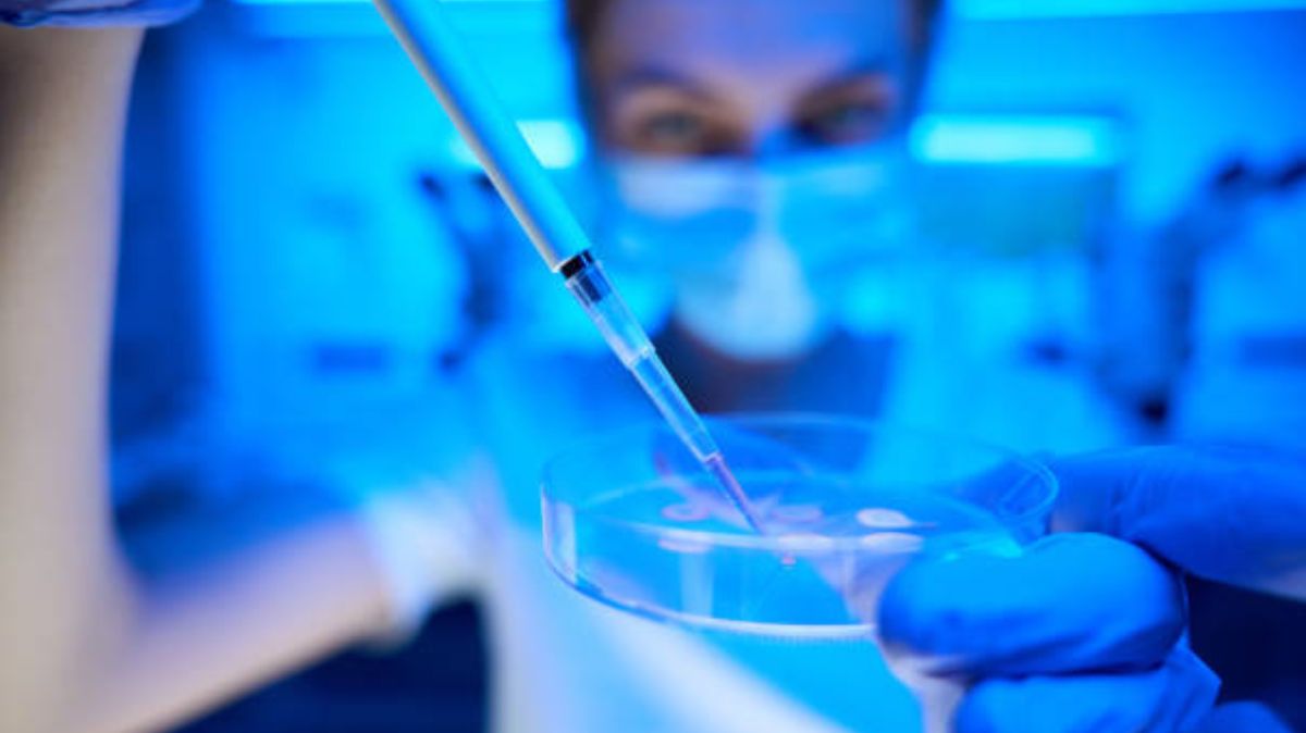 artical  - 2025-07-24T105120.458