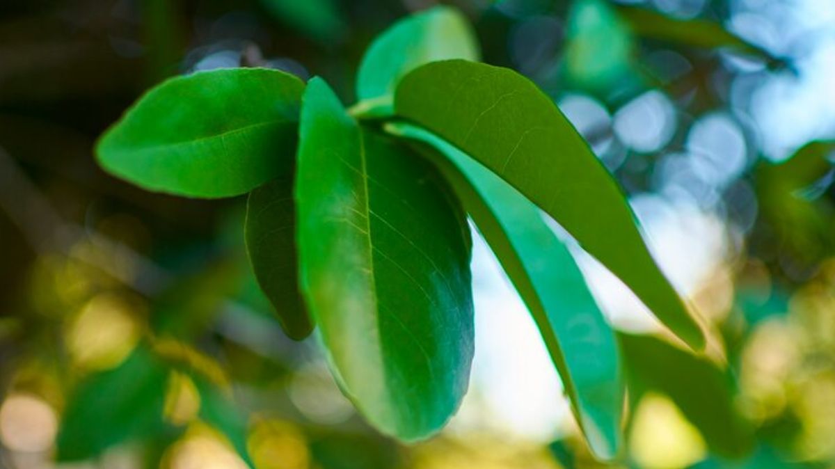 artical  - 2025-07-24T222418.664