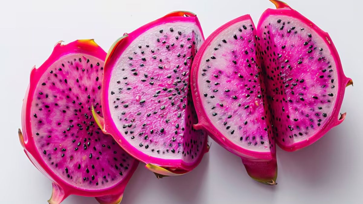 artical - 2025-07-25T103856.294