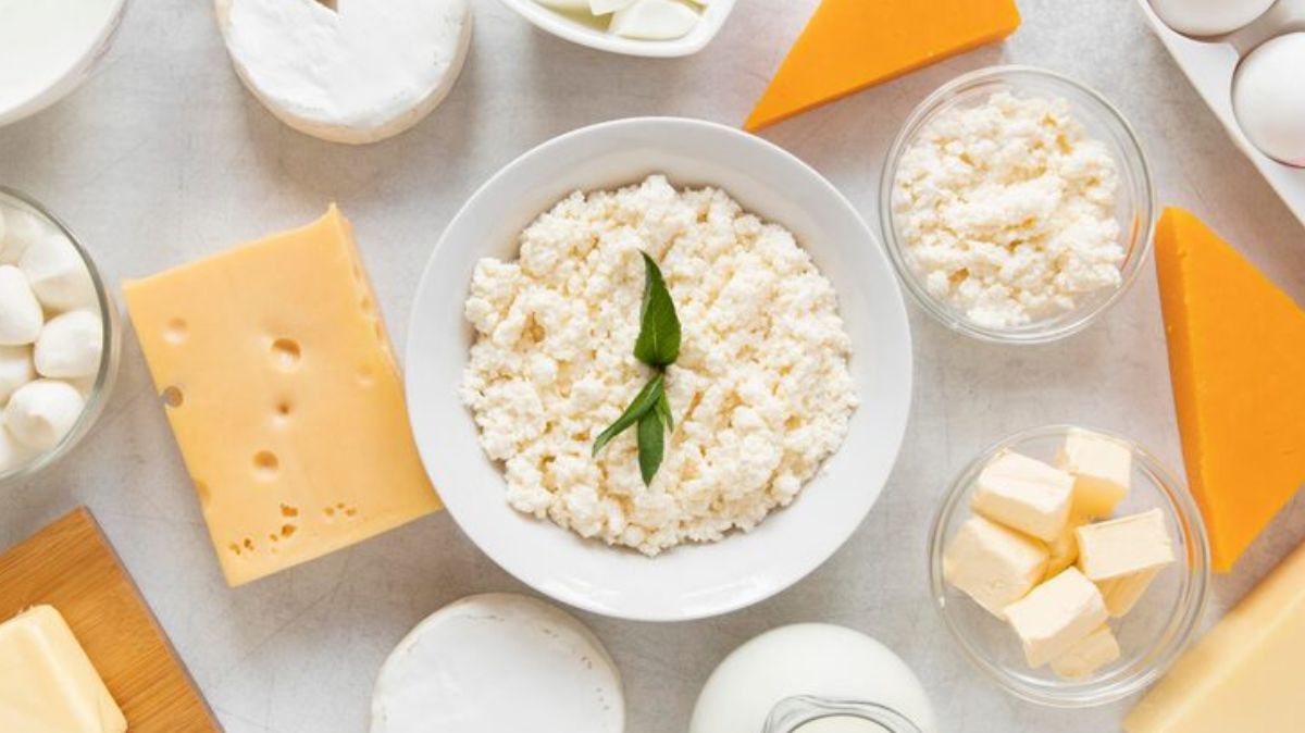 artical - 2025-07-26T232506.153