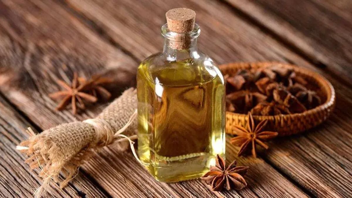 Star Anise For Hair: தீராத முடி பிரச்சனையால் அவதியா? இந்த ஒரு எண்ணெய் உங்க மொத்த பிரச்சனையையும் போக்கிடும்!