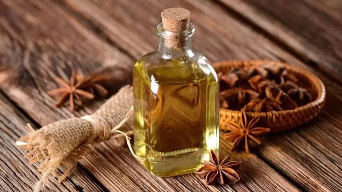 Star Anise For Hair: தீராத முடி பிரச்சனையால் அவதியா? இந்த ஒரு எண்ணெய் உங்க மொத்த பிரச்சனையையும் போக்கிடும்!