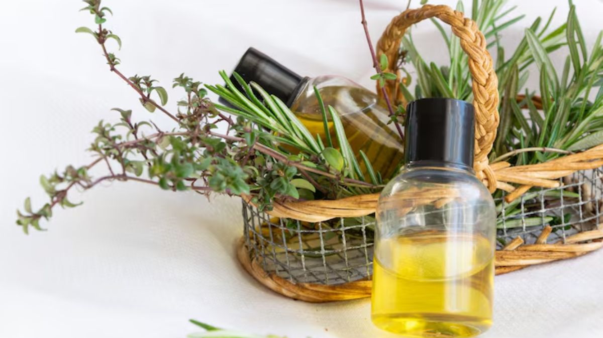 artical - 2025-07-31T224334.069