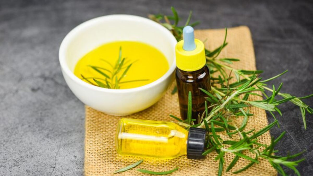 artical - 2025-07-31T224738.747