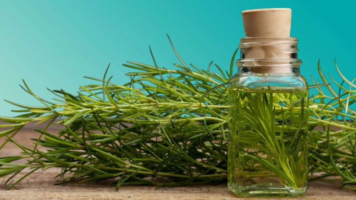 artical - 2025-07-31T224813.030