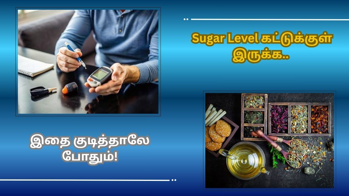 காலையில் இதை குடிங்க.. சர்க்கரை கட்டுக்குள் இருக்கும்..