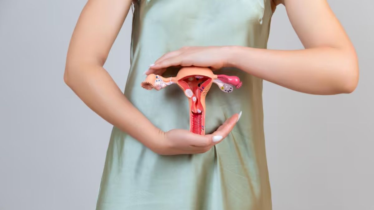 artical - 2025-08-01T170417.313