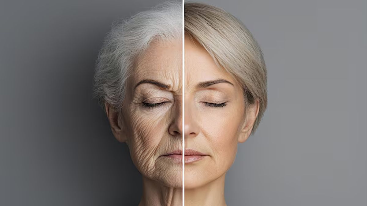 artical  - 2025-08-02T204336.474